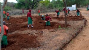 Kilomo and Nzeveni Primary Schools in Mavindini ward preparing for tree growing